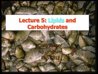 Lecture 5: Lipids and Carbohydrates