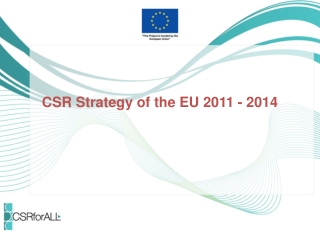 CSR Strategy of the EU 2011 - 2014