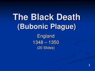The Black Death (Bubonic Plague)
