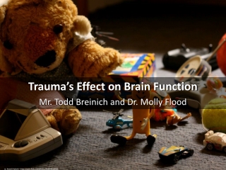 Trauma’s Effect on Brain Function