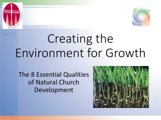 Creating the Environment for Growth