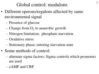 Global control: modulons