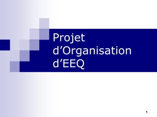 Projet d’Organisation d’EEQ