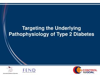 Targeting the Underlying Pathophysiology of Type 2 Diabetes