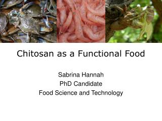 Chitosan as a Functional Food