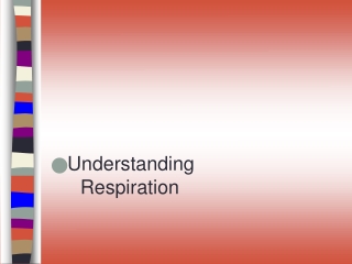 Understanding Respiration