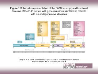Deng, H. et al. (2014) The role of FUS gene variants in neurodegenerative diseases
