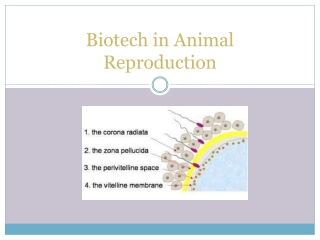 Biotech in Animal Reproduction