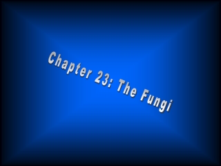 Chapter 23: The Fungi