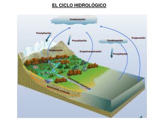 PPT - EL CICLO HIDROLÓGICO PowerPoint Presentation, Free Download - ID ...