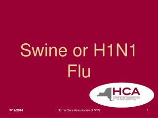 Swine or H1N1 Flu