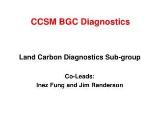 CCSM BGC Diagnostics