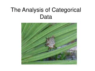 The Analysis of Categorical Data