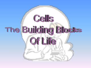 Cells The Building Blocks Of Life