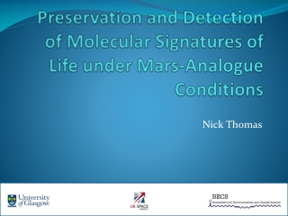Preservation and Detection of Molecular Signatures of Life under Mars-Analogue Conditions