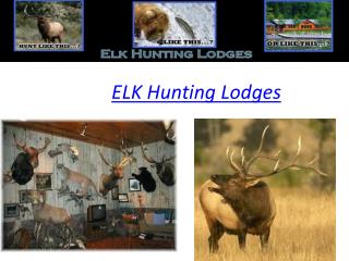 Elk Hunting Lodges