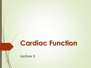 Cardiac Function
