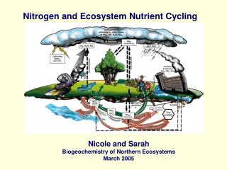 Nitrogen and Ecosystem Nutrient Cycling