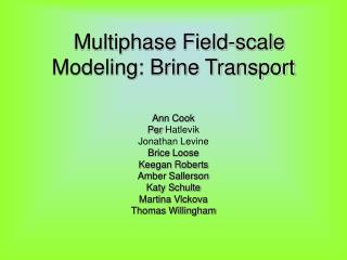 Multiphase Field-scale Modeling: Brine Transport
