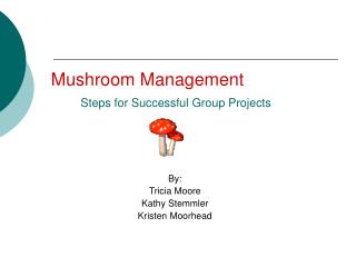 Mushroom Management Steps for Successful Group Projects