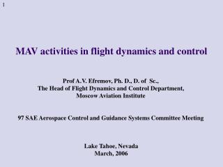 MAV activities in flight dynamics and control