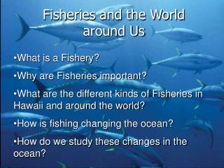 Fisheries and the World around Us