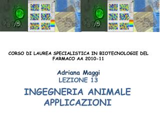 INGEGNERIA ANIMALE APPLICAZIONI