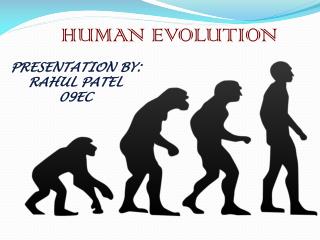 HUMAN EVOLUTION