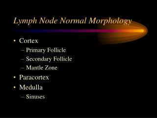 Lymph Node Normal Morphology