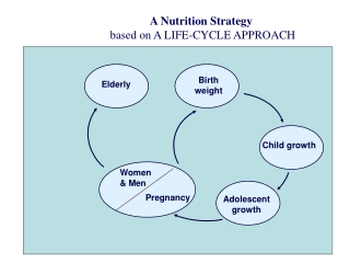 A Nutrition Strategy based on A LIFE-CYCLE APPROACH