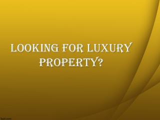Looking For Luxury Property in Miami Beach Florida?