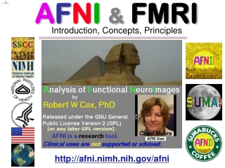 A F N I & FMRI Introduction, Concepts, Principles