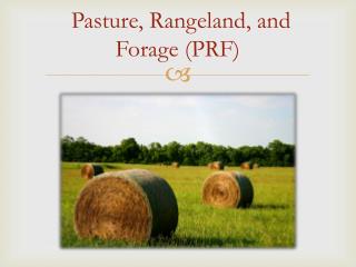 Pasture, Rangeland, and Forage (PRF)