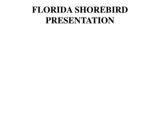 FLORIDA SHOREBIRD PRESENTATION