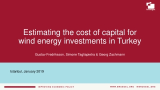 Estimating the cost of capital for wind energy investments in Turkey