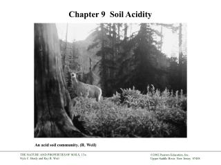 Chapter 9 Soil Acidity
