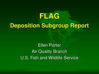 FLAG Deposition Subgroup Report