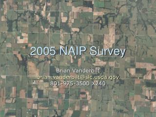 2005 NAIP Survey