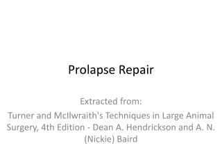 Prolapse Repair
