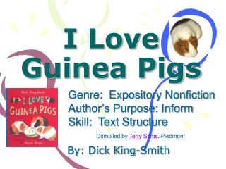 I Love Guinea Pigs