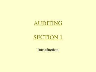 AUDITING SECTION 1