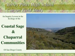 Torrey Pines High School Canyon Field Study