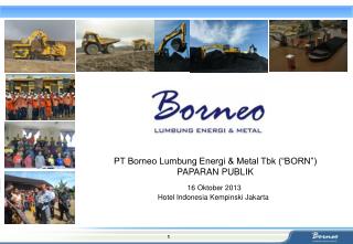 Ppt Pt Borneo Lumbung Energi Metal Tbk Born Paparan Publik Powerpoint Presentation Id 3379274