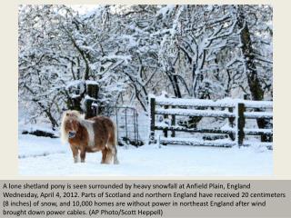 Unseasonal snow disrupts UK