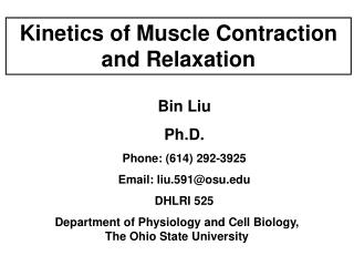 Kinetics of Muscle Contraction and Relaxation