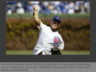 Celebrity first pitches