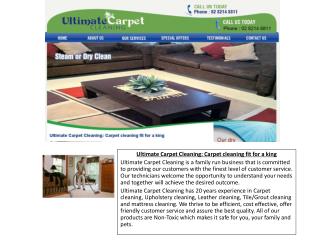 Ultimate Carpet Cleaning | Steam, Dry, Rug, Mattress, Leathe
