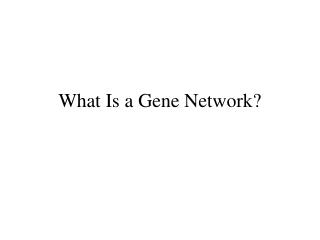 What Is a Gene Network?