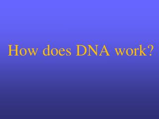How does DNA work?