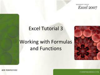 Excel Tutorial 3 Working with Formulas and Functions